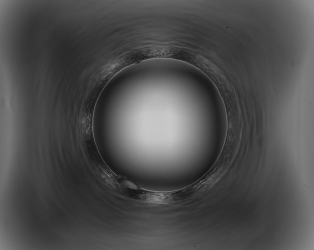 X0000085050096200703051427