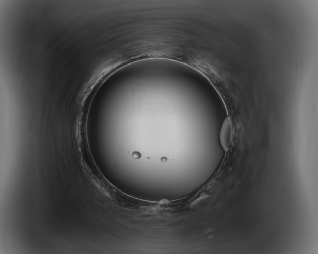 X0000085050098200703051426