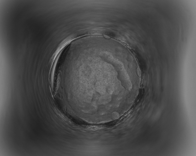 X0000085050099200703051426