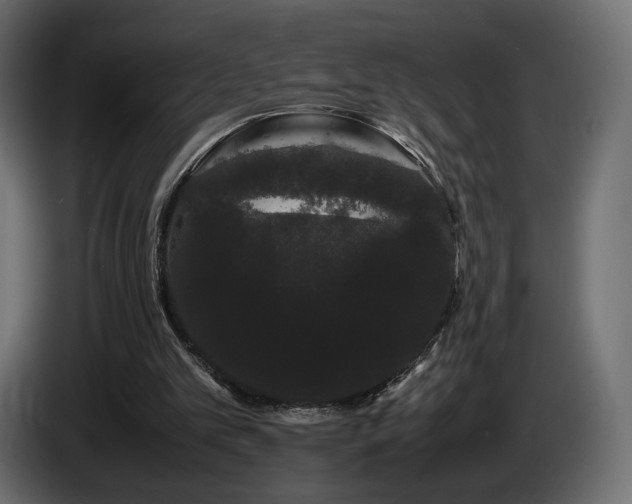 X0000085050101200703051426