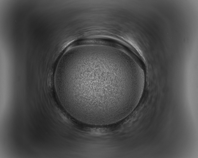 X0000085050105200703051426