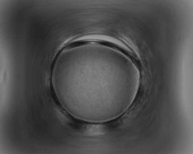 X0000085050107200703051426