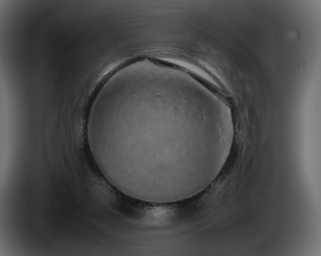 X0000085050111200703051426