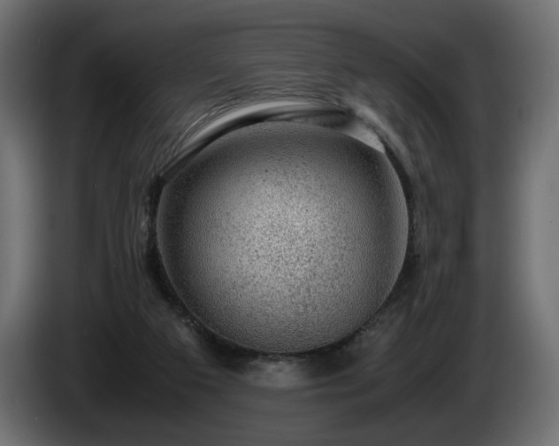 X0000085050113200703051426