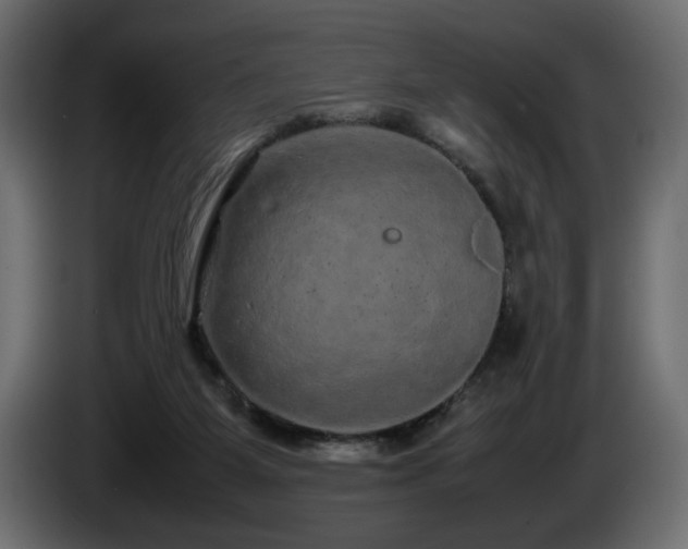 X0000085050115200703051426