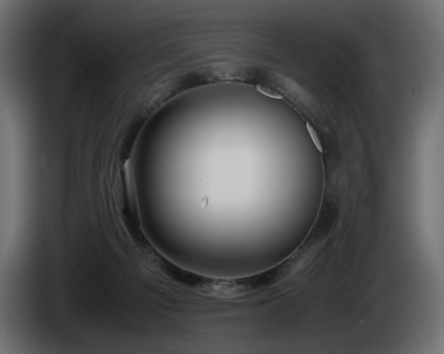 X0000085050121200703051425