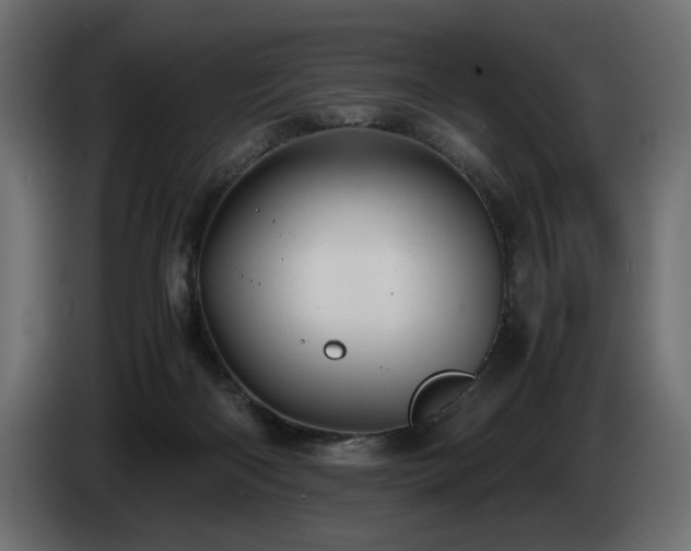 X0000085050122200703051425