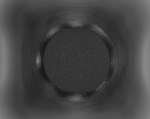 X0000085050124200703051425