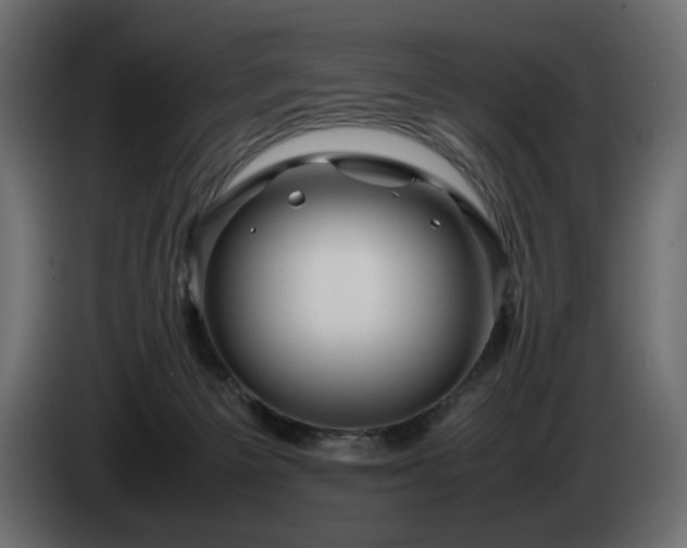 X0000085050125200703051425