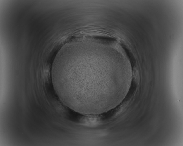X0000085050127200703051425