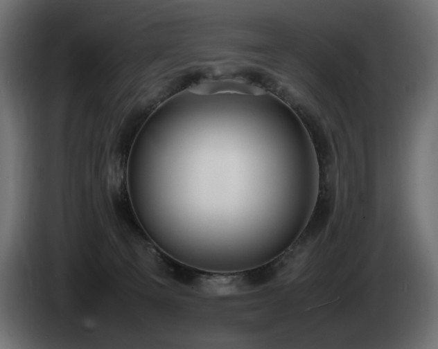X0000085050129200703051425