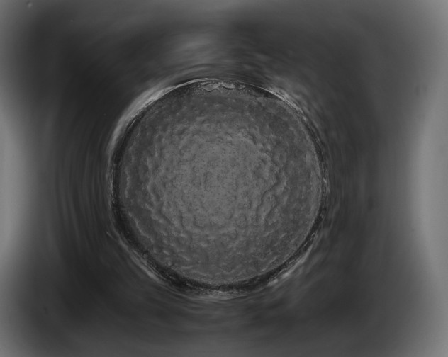 X0000085050149200703051425