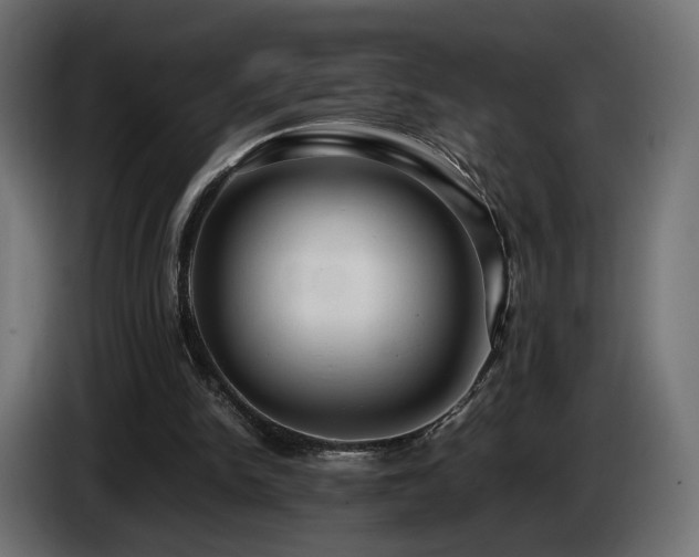 X0000085050150200703051425
