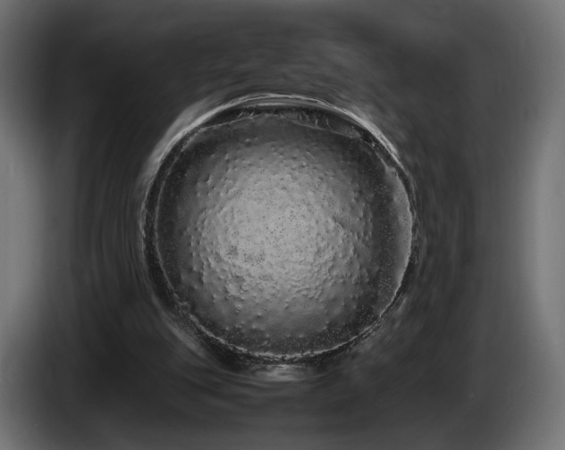 X0000085050151200703051425