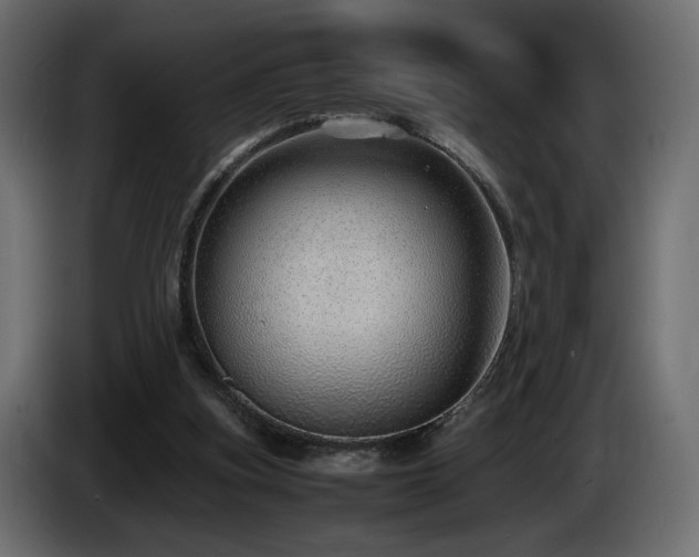 X0000085050155200703051425