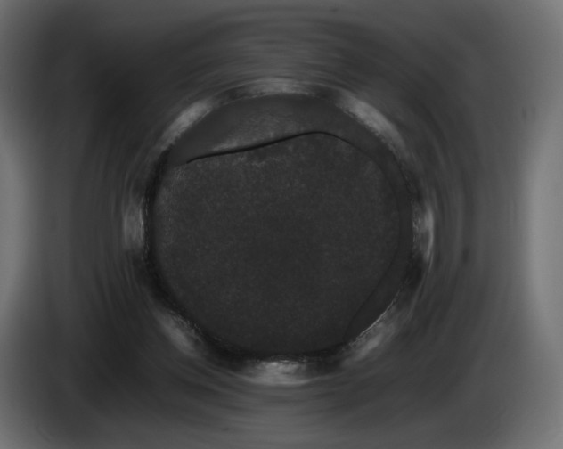 X0000085050158200703051425