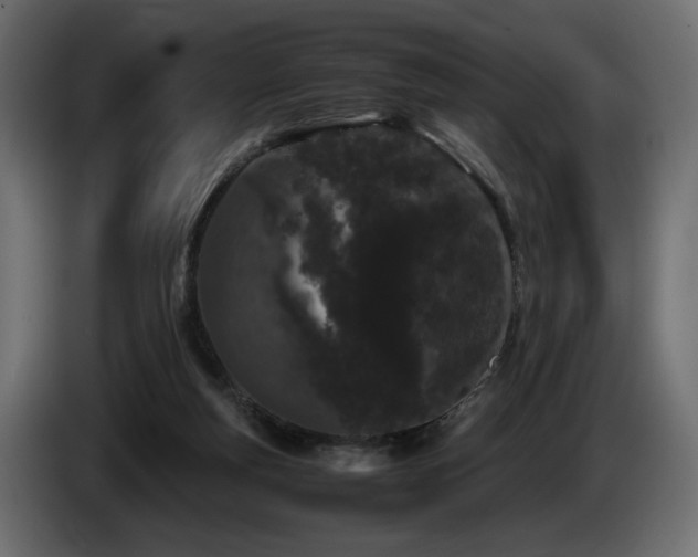 X0000085050163200703051425