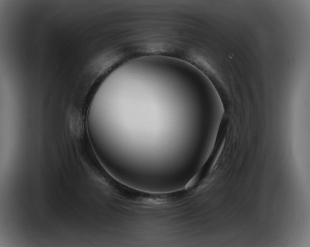 X0000085050164200703051425