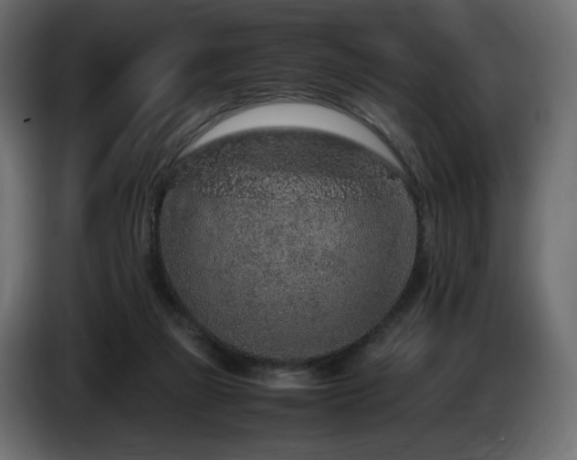 X0000085050165200703051425