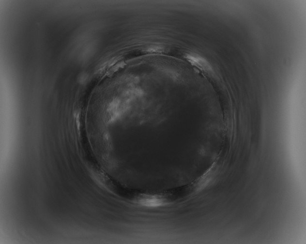 X0000085050167200703051425