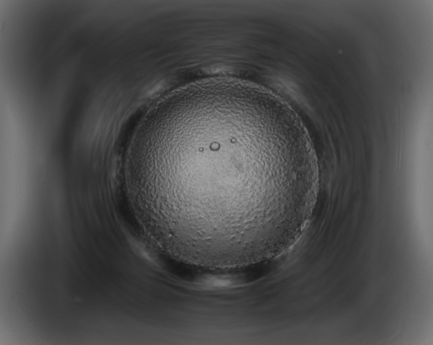 X0000085050171200703051425