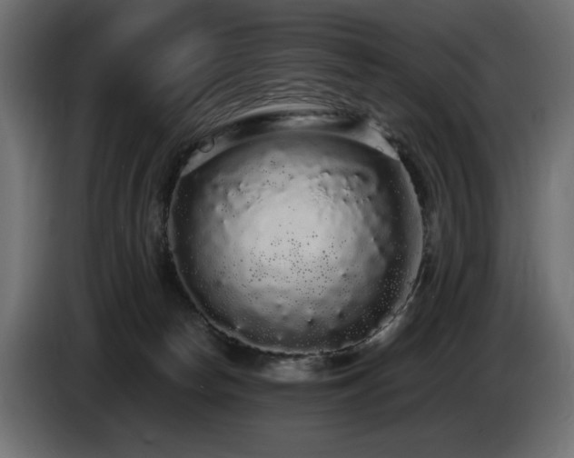 X0000085050178200703051425