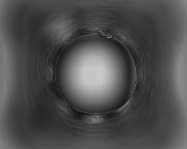 X0000085050183200703051425