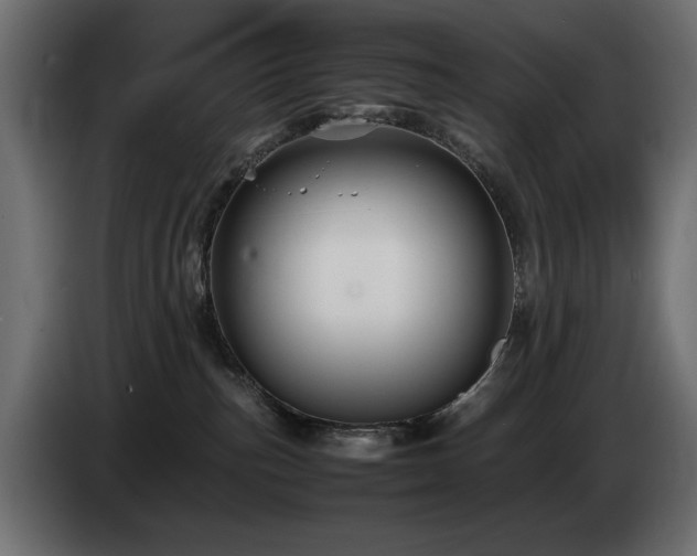 X0000085050187200703051425