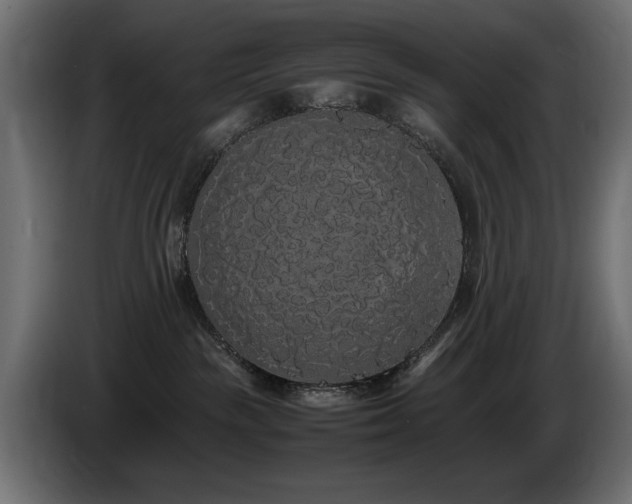 X0000085050189200703051425