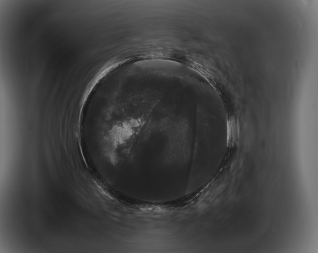 X0000085050195200703051424