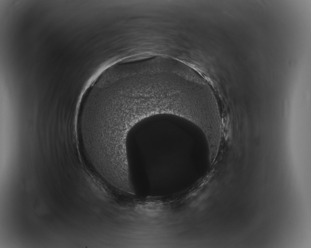 X0000085050196200703051424