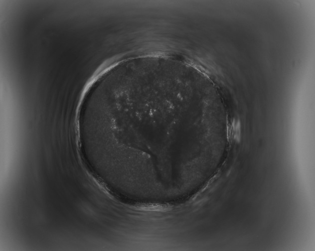 X0000085050198200703051424