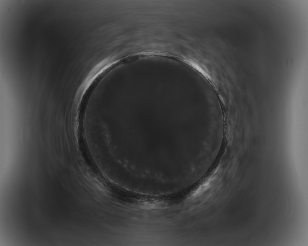 X0000085050199200703051424