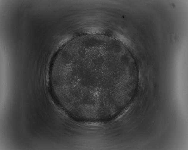 X0000085050202200703051424