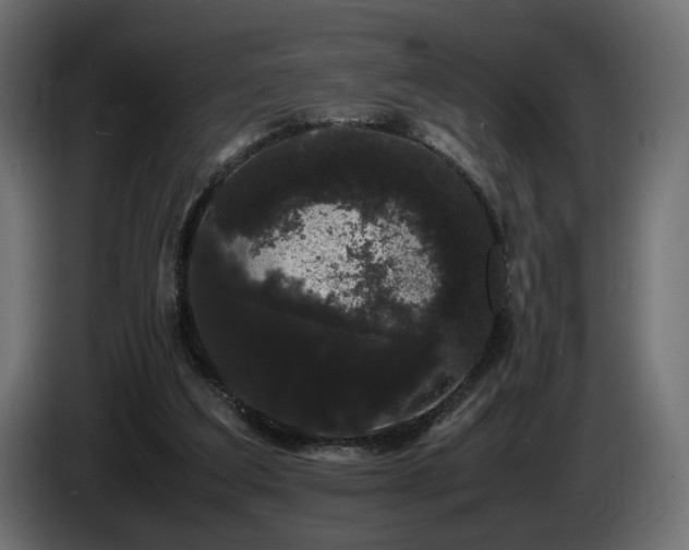 X0000085050203200703051424