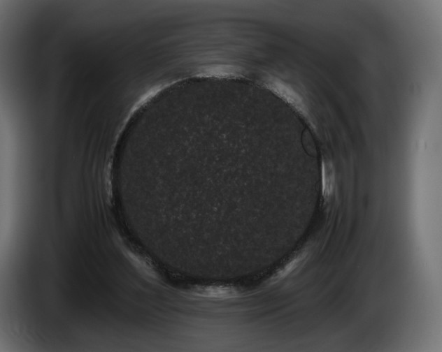 X0000085050204200703051424