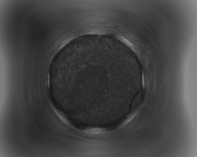 X0000085050205200703051424