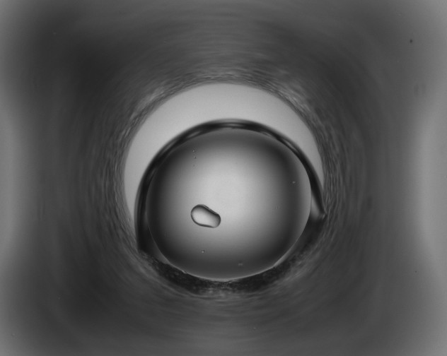 X0000085050207200703051424