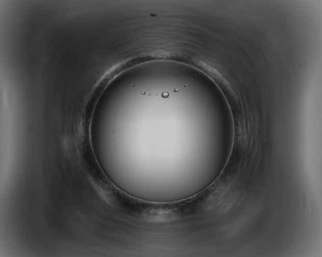 X0000085050208200703051424