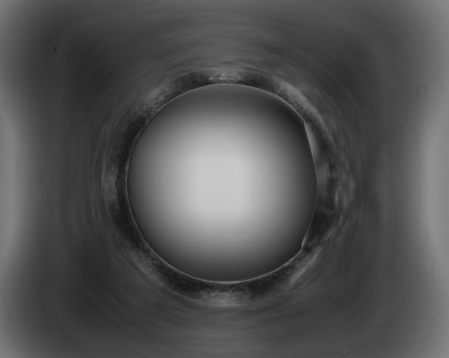X0000085050209200703051424