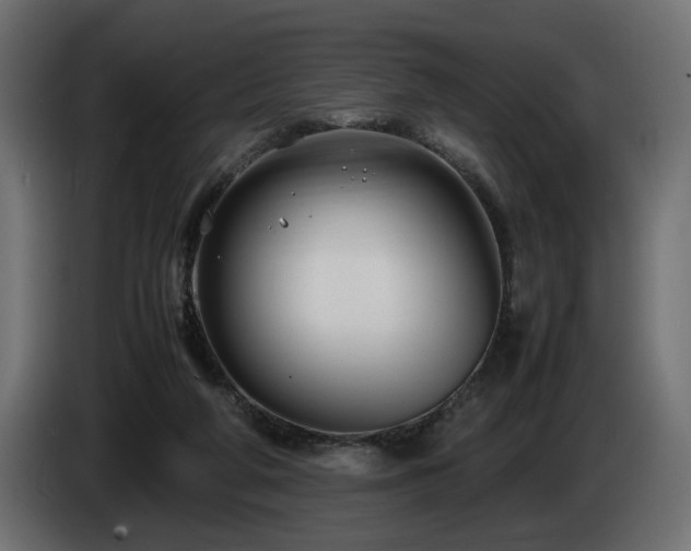 X0000085050210200703051424