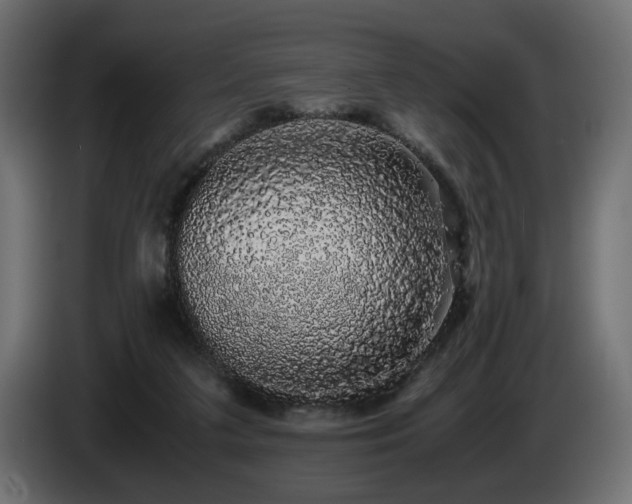 X0000085050211200703051424