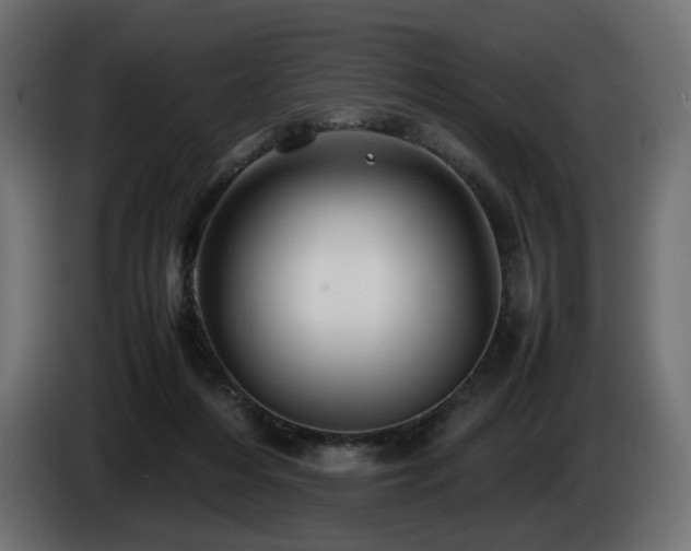 X0000085050216200703051424