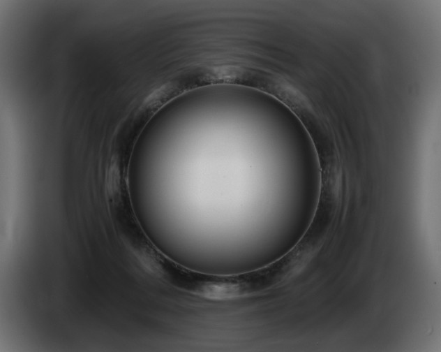 X0000085050220200703051424