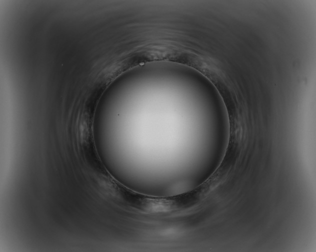X0000085050226200703051424