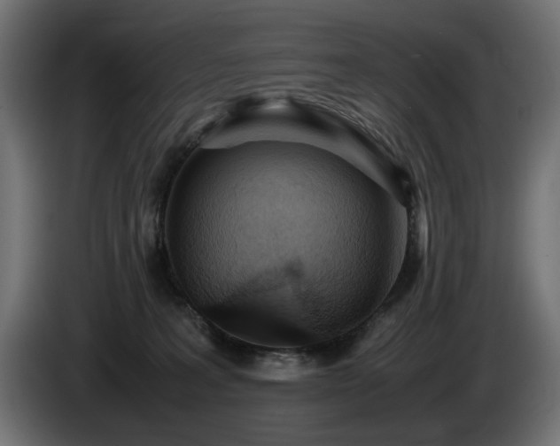 X0000085050227200703051424