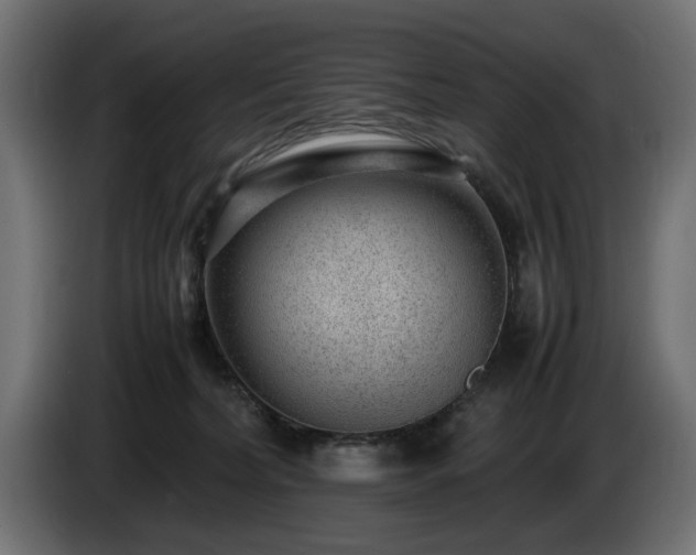 X0000085050228200703051424