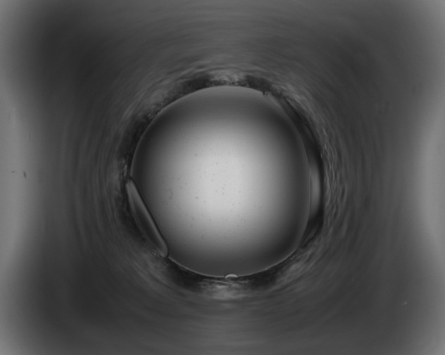 X0000085050229200703051424