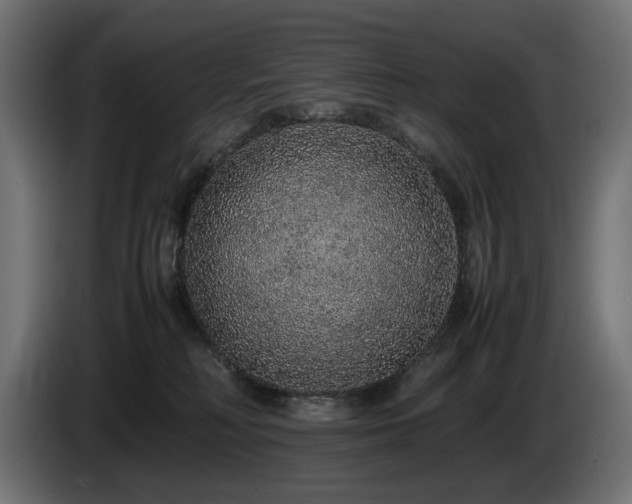 X0000085050230200703051424