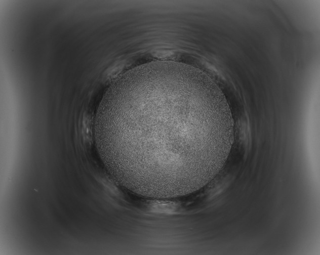 X0000085050234200703051424